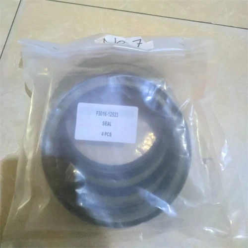 F301612523 Oil Seal for Machinery Engine Parts
