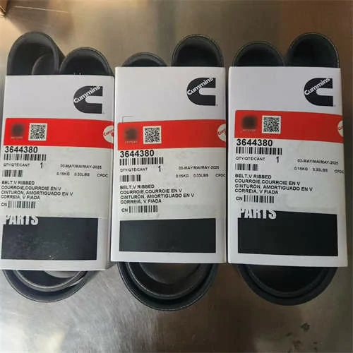 33639280 / 3644380 V Ribbed Belt for Cummins