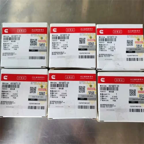 4919872 / 3006300 Engine Relay for Cummins K19