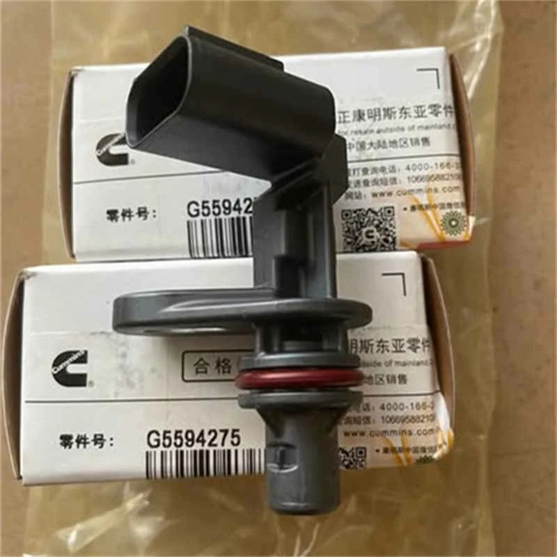 G5594275 G5594275